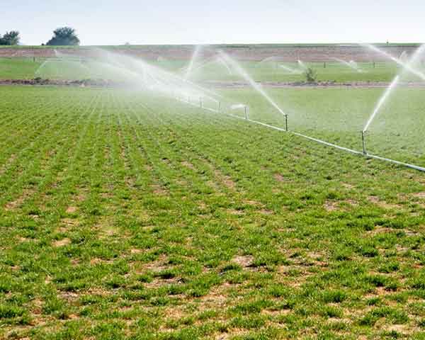 智能灌溉价格